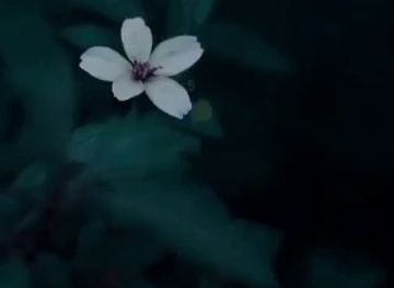 iraq/babel/restaurant/good-restaurant