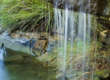 texas/enchanted-rock-state-natural-area/restaurant/cabernet-grill-texas-wine-country-restaurant