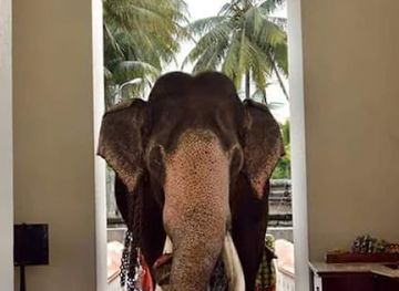 sri-lanka/hill-country/restaurant/hill-side-family-restaurant