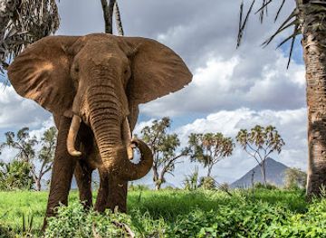 kenya/shaba-national-reserve/restaurant/sinteti-hotel