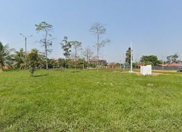 peru/tambopata-national-reserve/restaurant/restaurante-los-pajaritos