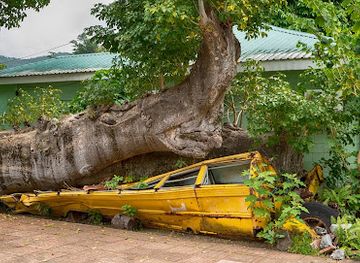 dominica/roseau/restaurant/botanical-gardens-gazebo