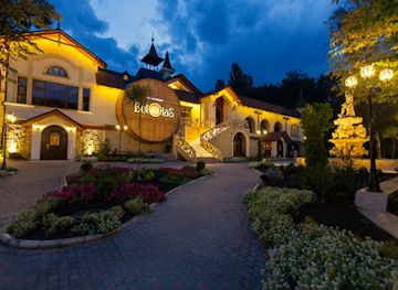 moldova/bessarabia/restaurant/butoias