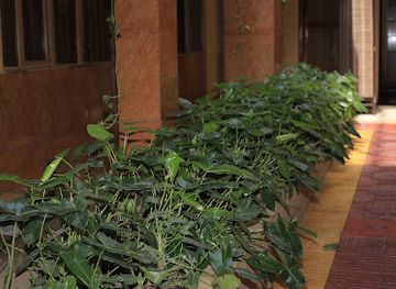 burundi/ruvubu-national-park/restaurant/cup-line