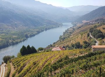 portugal/douro/restaurant/veladouro