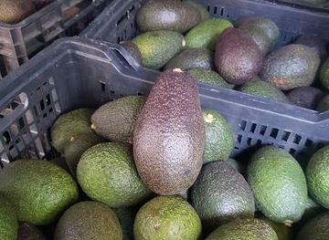 chile/antofagasta/restaurant/restaurante-comida-chilena-antofagasta-el-bose