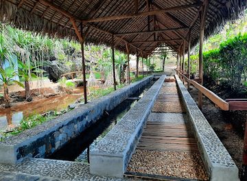 madagascar/analanjirofo/restaurant/natiora-green-lodge