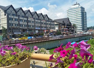 south-korea/pyeongchang-ski-resorts/restaurant/hwangtae-hoegwan-dried-pollack-restaurant