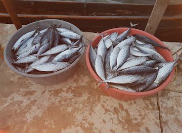 panama/san-blas-islands/restaurant/cabana-y-restaurante-nalunega