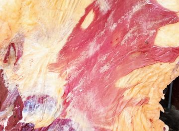 uganda/mbarara/restaurant/the-sunday-s