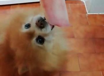 the-gambia/serrekunda/restaurant/sky-tourist-restaurant