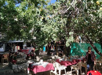 india/leh-ladakh/restaurant/penguin-garden-restaurant