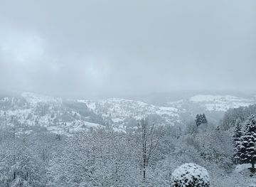 france/vosges-mountains/restaurant/auberge-du-dahu