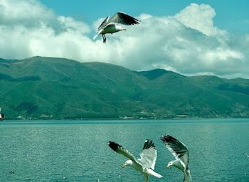 armenia/arpi-lake/restaurant/collette-restaurant