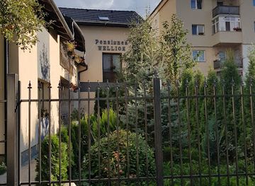 romania/covasna/restaurant/pensiunea-wellion