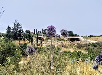 israel/galilee/restaurant/clil-in-the-galilee