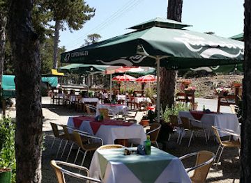 cyprus/troodos-mountains/restaurant/sun-valley-olympos-cafe-restaurant