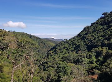 costa-rica/chirripo-national-park/restaurant/hotel-rivel-restaurant-retreat