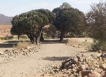 eritrea/gash-barka-region/restaurant/adi-fnin