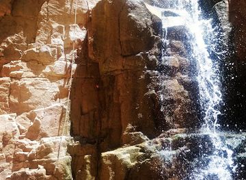 jordan/northern-jordan-valley/restaurant/buffalo-wings-rings-dead-sea