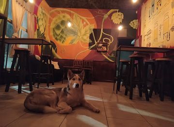 uruguay/rocha/restaurant/novillos-cerveza-artesanal-y-gastronomia