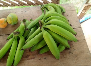 togo/notse/restaurant/restaurant-la-madagascar
