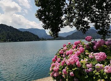 slovenia/lake-bled/restaurant/spica-bar-and-restaurant