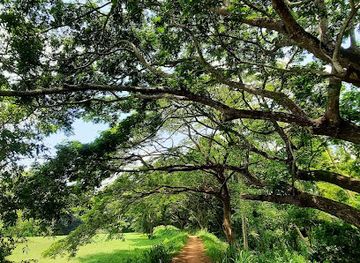 sri-lanka/north-central-province/restaurant/golden-palm-restaurant