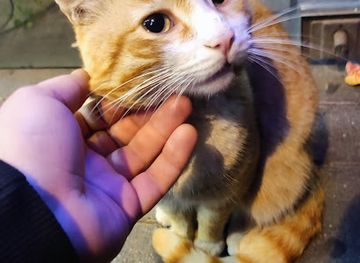 azerbaijan/nakhchivan-autonomous-republic/restaurant/momin-xatin-kitab-kafe