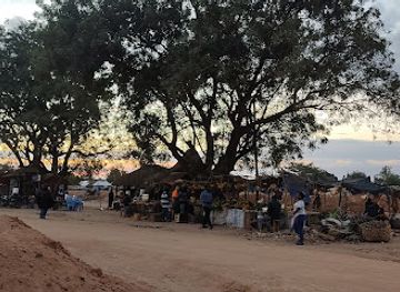 tanzania/selous-game-reserve/restaurant/hippo-camp-selous