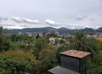 ecuador/azuay-region/restaurant/cafe-del-museo