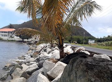 dominica/freshwater-lake/restaurant/purple-turtle-beach-club