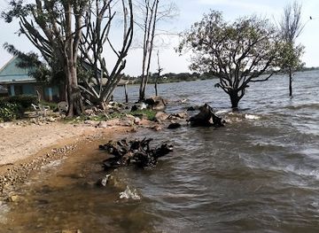 kenya/lake-victoria/restaurant/victoria-see-lodge