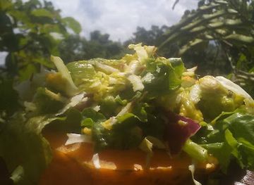 jamaica/port-antonio-area/restaurant/c-s-smoothie-bar-kitchen