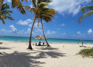 the-bahamas/grand-bahama-island/restaurant/taino-by-the-sea