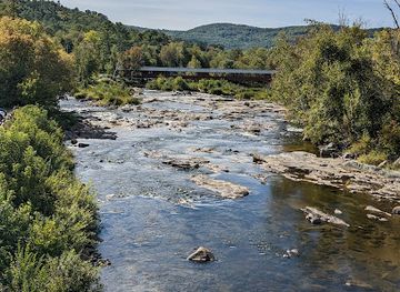 new-hampshire/franconia-notch-state-park/restaurant/littleton-freehouse-taproom-eatery