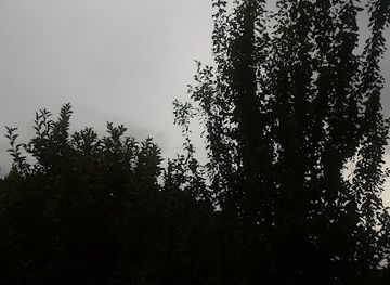 algeria/tizi-ouzou/restaurant/restaurant