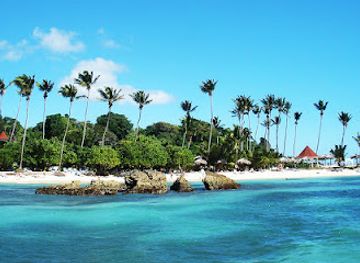 dominican-republic/samana/restaurant/eva-boat-tours-salpicon-restaurant