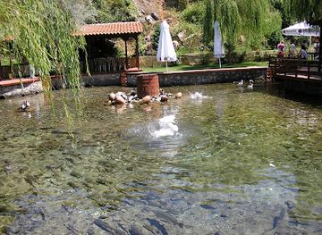 albania/korab-koritnik-nature-park/restaurant/rritja-e-koranit