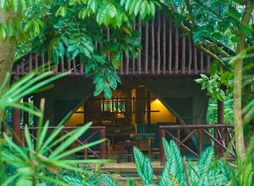 uganda/kibale-national-park/restaurant/kibale-forest-camp