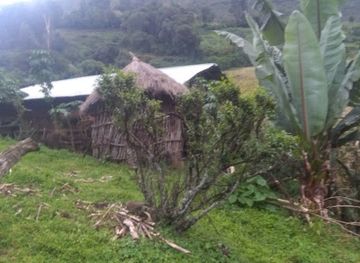 ethiopia/debre-markos/restaurant/habtamu-cafe