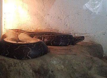 tanzania/iringa/restaurant/mama-s-kitchen