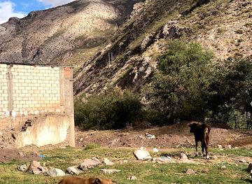 peru/lares-trek/restaurant/restaurant-las-acllas