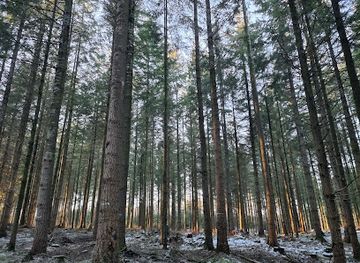 denmark/rold-skov/restaurant/rold-skov