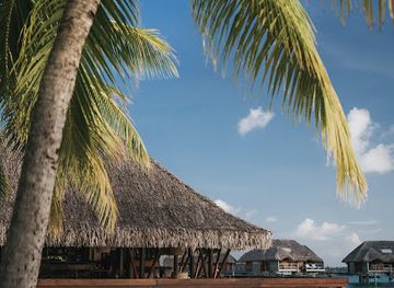 french-polynesia/leeward-islands/restaurant/vaimiti