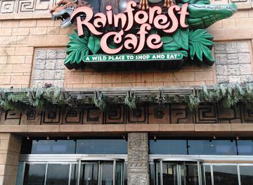 new-jersey/atlantic-city-boardwalk/restaurant/rainforest-cafe