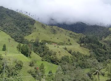 colombia/cocora-valley/restaurant/brunch-de-salento