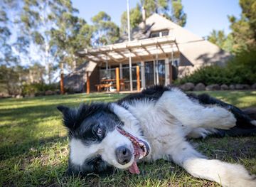 australia/grampians/restaurant/grampians-getaway