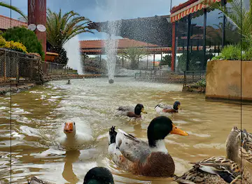 Hotel and Restaurant Shallalat Anjar -مطعم شلالات عنجر