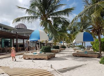 curacao/mambo-beach/restaurant/zest-restaurant-beach-cafe